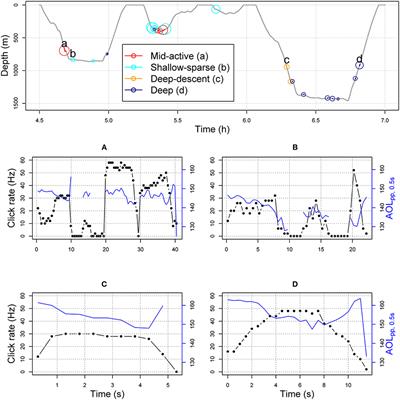 Movement and Biosonar Behavior During Prey Encounters Indicate That Male Sperm Whales Switch Foraging Strategy With Depth